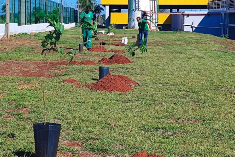 Empresas celebram o Dia Internacional das Florestas com plantio de 200 árvores em Campo Grande – MS