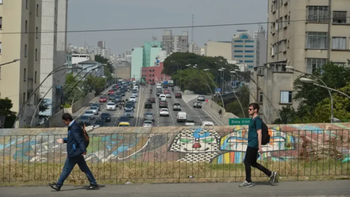 Estado de São Paulo decreta emergência para dengue