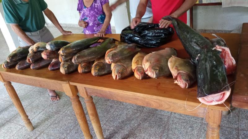 A Polícia Militar Ambiental de Porto Portinho faz doação, de pescado apreendido durante a operação Semana Santa, para asilos e escolas da cidade.