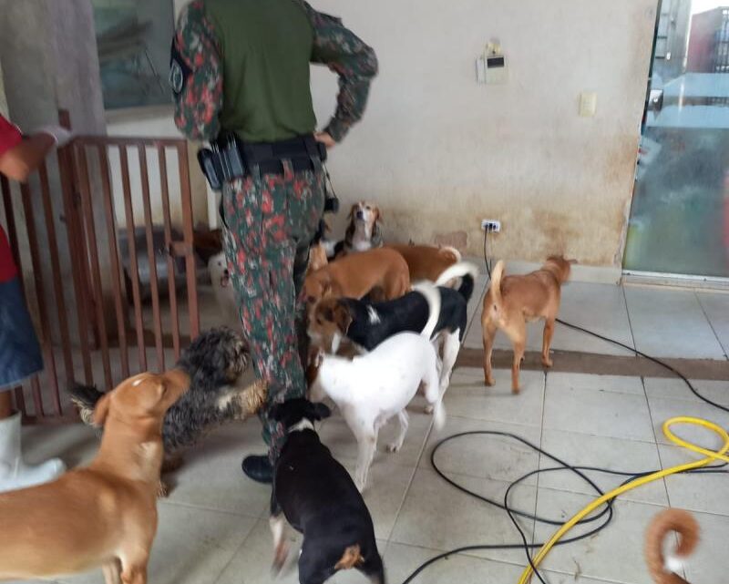 “Polícia Militar Ambiental aplica multa de R$175.000,00 a ONG de Campo Grande por maus-tratos”