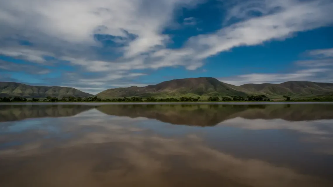 Estados se unem para enfrentar desmatamento no Pantanal