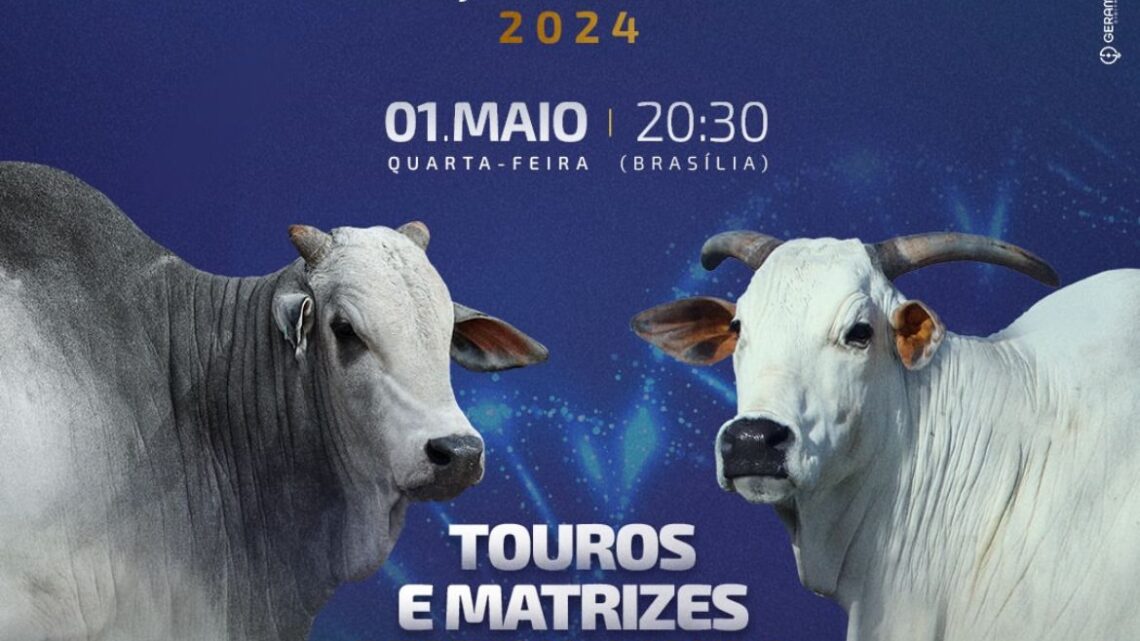 Leilão Mafra acontece em 1º de maio, durante a 89ª Expozebu