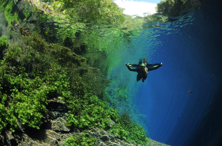 MS representa o Brasil como destino de ecoturismo em evento internacional no Equador