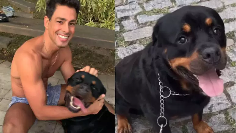 Cachorro de Cauã Reymond perde a vida após ser envenenado: ‘Se foi’