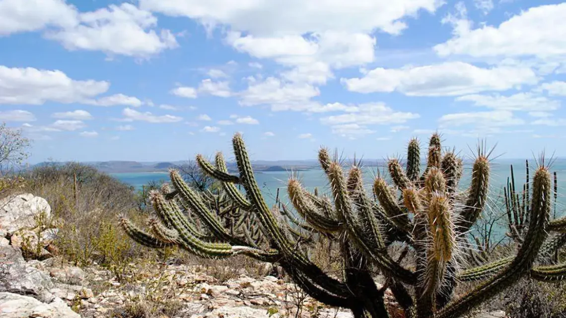 Governo vai criar 12 unidades de conservação na Caatinga