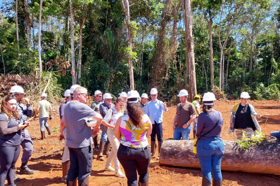 Transparência e sustentabilidade da madeira nativa são mostrados no Dia de Floresta