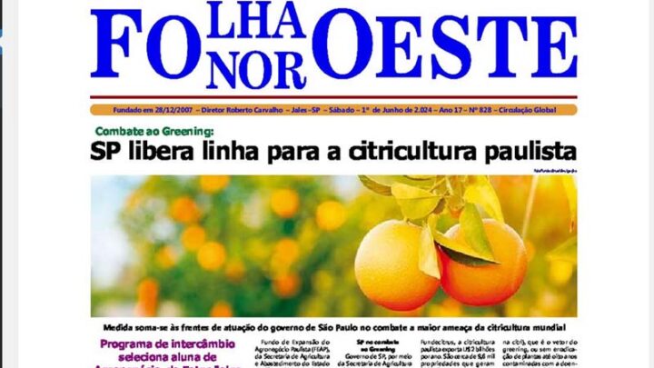 Jornal Folha Noroeste Digital edição 828 de 01062024 Jales SP