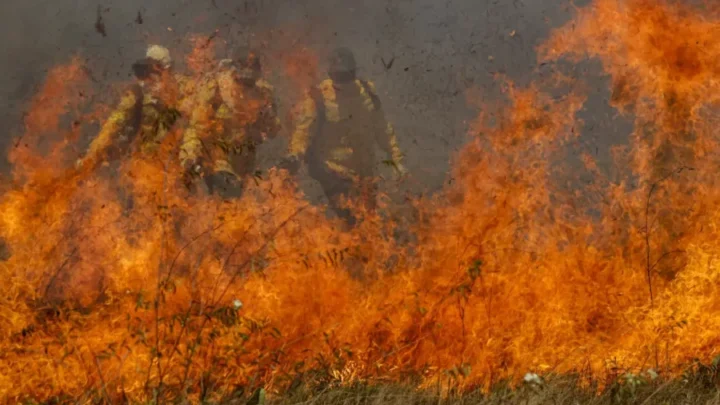 Brasil teve 4,48 milhões de hectares queimados entre janeiro e junho deste ano
