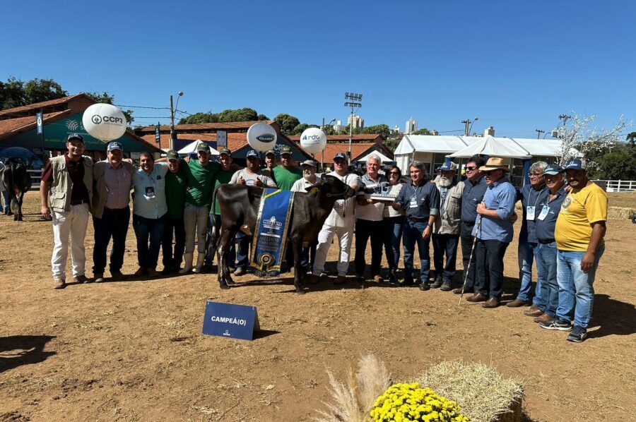 Qual é o segredo para uma fazenda leiteira premiada?