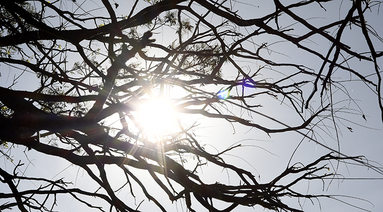 Semana encerra com tempo estável e tem sol como destaque em Mato Grosso do Sul