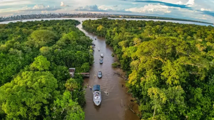 CAIXA, BID, BB e BNDES planejam ETF na Amazônia para todos