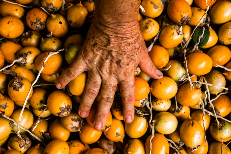 Natura está entre as três empresas mais sustentáveis do planeta, segundo GlobeScan