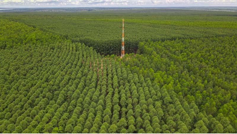 Eldorado amplia monitoramento 24h de florestas e reduz incêndios em 88%