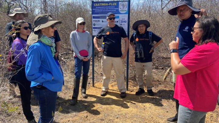 Parceria Brasil-China estuda impactos de eventos climáticos extremos na Caatinga