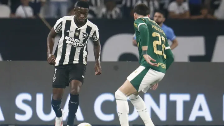 Botafogo recebe Palmeiras no primeiro jogo das oitavas da Libertadores