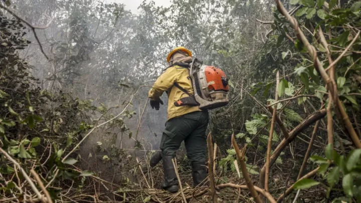 Dino manda governo ampliar combate ao fogo na Amazônia e no Pantanal