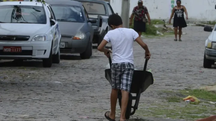 Auditores identificam 301 menores realizando trabalho infantil ilegal