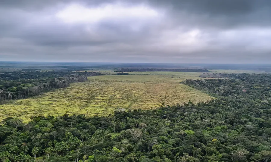 TerraClass apresenta resultados do mapeamento da cobertura e do uso da terra na Amazônia e Cerrado