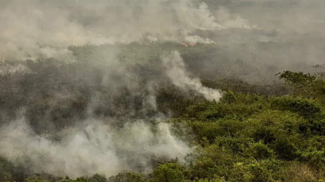 Militares do Exército começam a combater incêndios no Tocantins