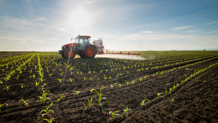 Agro cresce em comercialização, mas gastos faz PIB do setor ter queda, diz levantamento do IBPT 