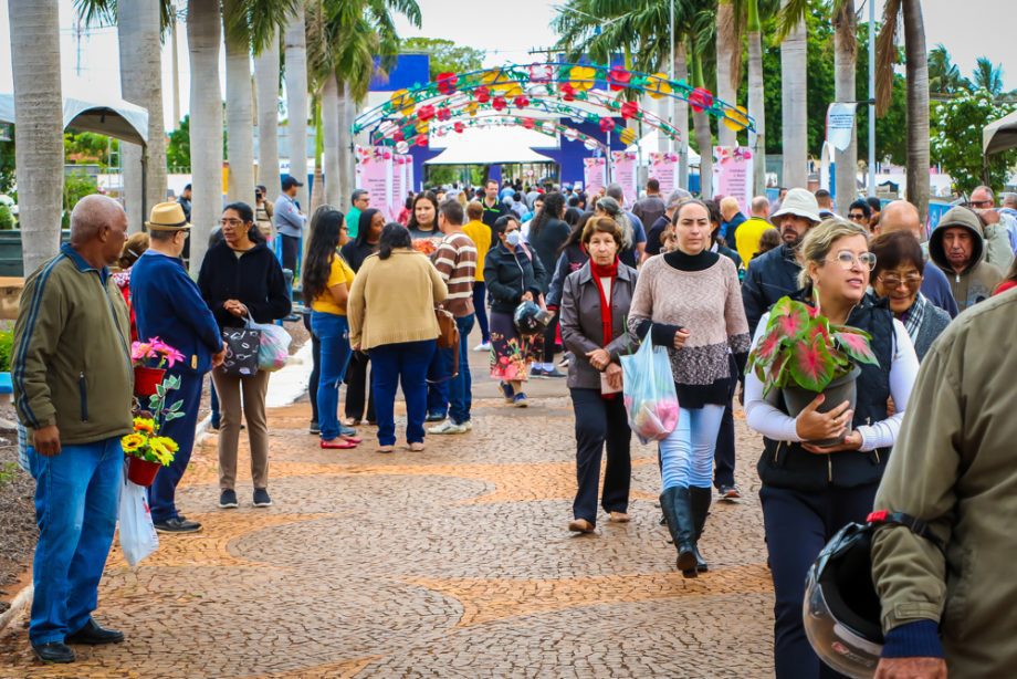 PROCON-TL realiza pesquisa sobre preços de flores e velas para o Dia de Finados