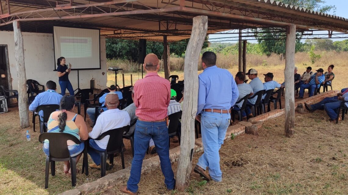 Fomento à agricultura familiar: Sebrae/MS e Suzano atendem produtores de Selvíria em projeto para geração de renda