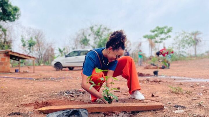 Ação Cidadania ECOmunitária faz plantio de mudas e leva orientação jurídica gratuita ao Itamaracá