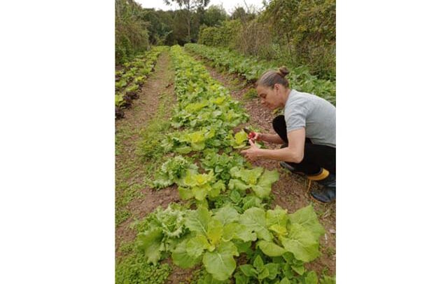 Produtores da Rama participam da 2ª Feira da Agricultura Familiar de Porto Alegre