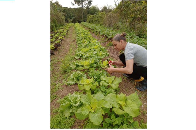 Produtores da Rama participam da 2ª Feira da Agricultura Familiar de Porto Alegre